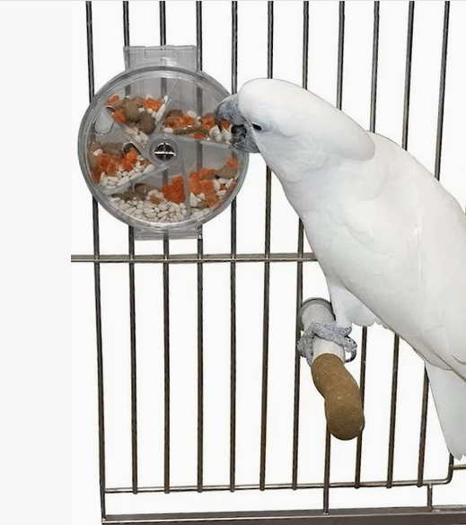 Foraging Wheel Bird Toy